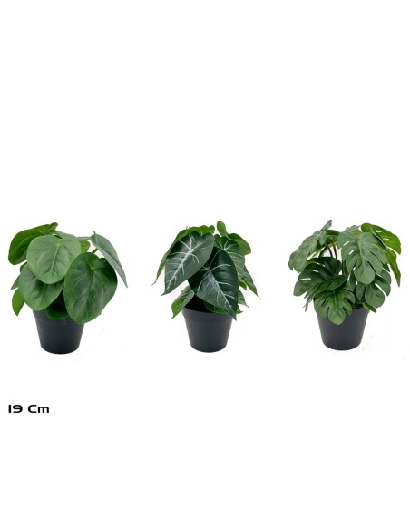 MACETA 14 LVS REAL TOUCH-19 CM MOD-A (S)