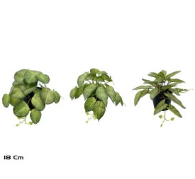 MACETA COLGANTE 23 LVS R/T-18 CM MOD-B (S)