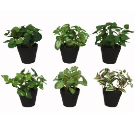 MACETA MINI HOJAS X 50 -18 CM