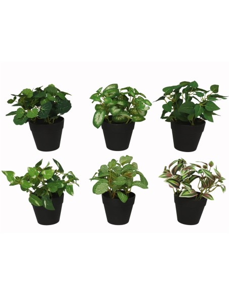 MACETA MINI HOJAS X 50 -18 CM