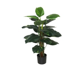 PLANTA POTUS X 18 T/ COCO 75 CM