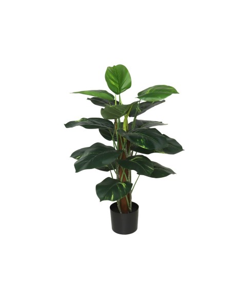 PLANTA POTUS X 18 T/ COCO 75 CM
