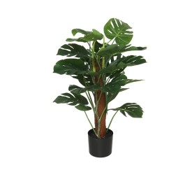 PLANTA MONSTERA X 18 T/ COCO 75 CM