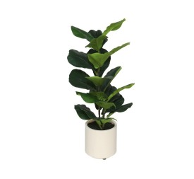 MACETA BLANCA LUX FICUS LYRATA - 72 CM