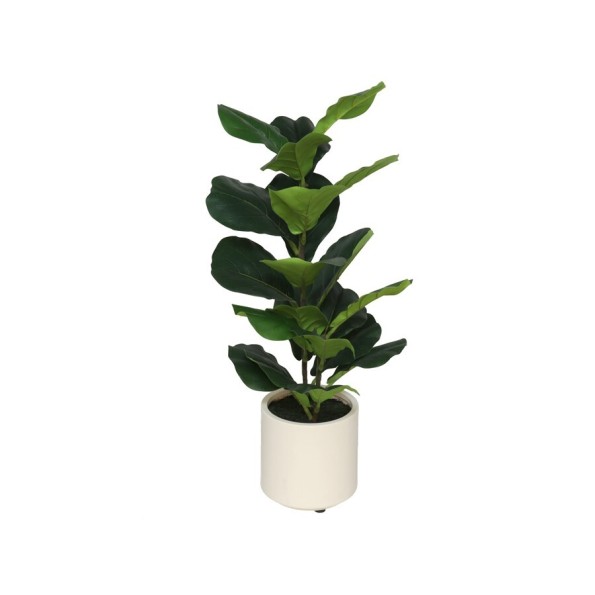 MACETA BLANCA LUX FICUS LYRATA - 72 CM