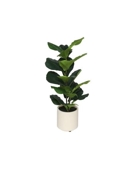 MACETA BLANCA LUX FICUS LYRATA - 72 CM