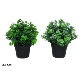 MACETA EUCALIPTO - 22 CM (S)