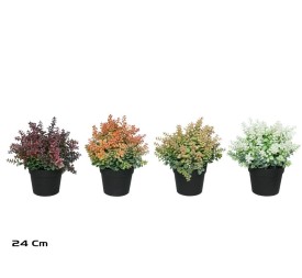 MACETA SEDUM - 24 CM (S)
