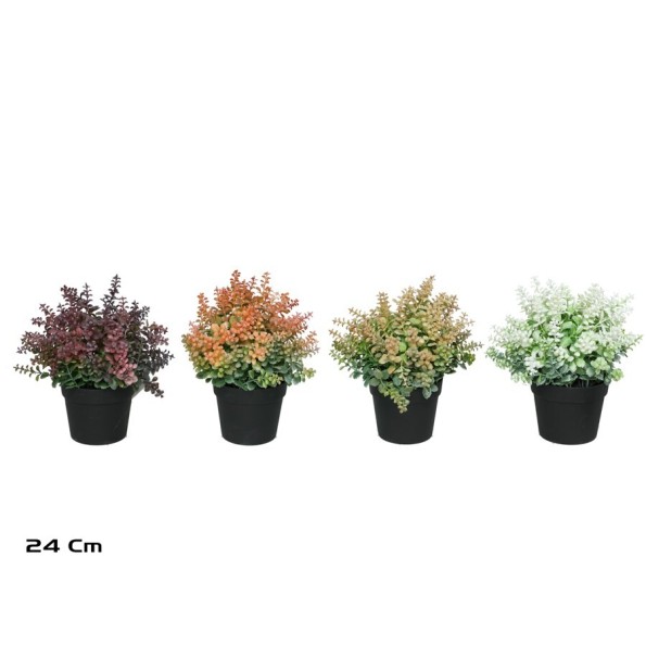 MACETA SEDUM - 24 CM (S)