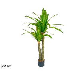 ARBOL DRACENA  X 2- 130 CM