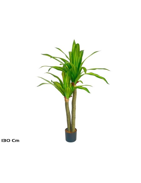 ARBOL DRACENA  X 2- 130 CM
