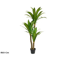 ARBOL DRACENA X 3 - 150 CM