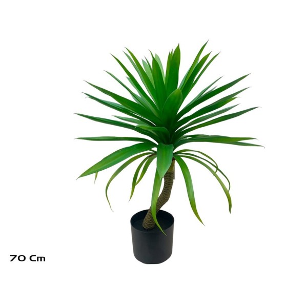 PLANTA YUCCA - 70 CM