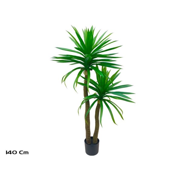 PLANTA YUCCA X 2 - 140 CM