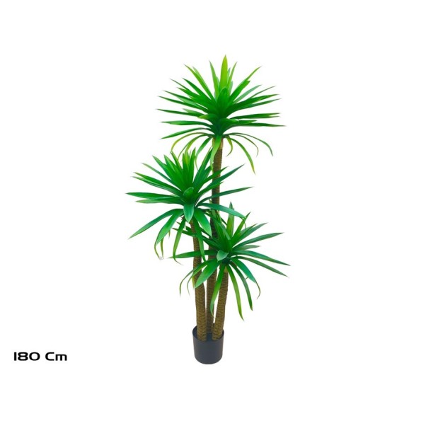 PLANTA YUCCA X 3 - 180 CM