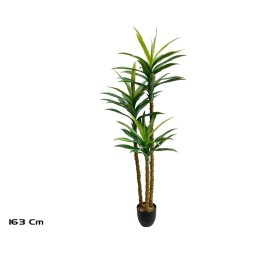 PLANTA YUCCA X 3 - 163 CM
