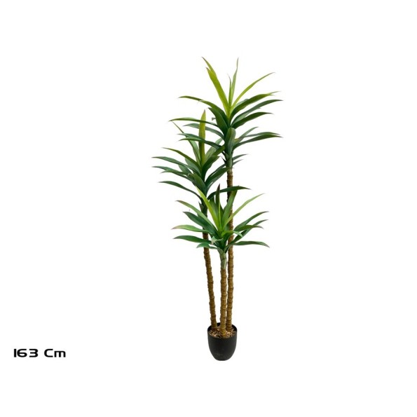 PLANTA YUCCA X 3 - 163 CM