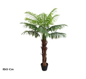 PLANTA PALMERA T/COCO X 15 - 150 CM