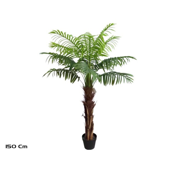 PLANTA PALMERA T/COCO X 15 - 150 CM