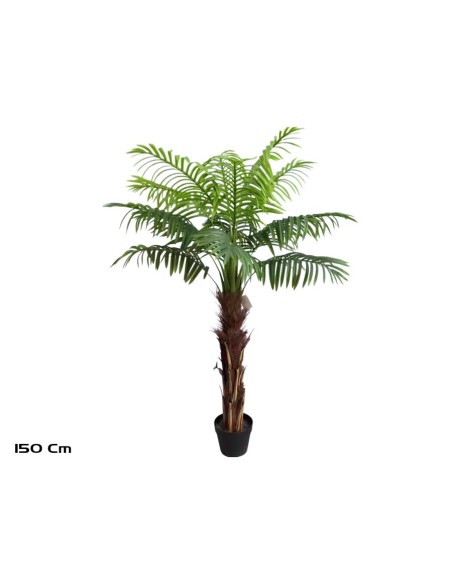 PLANTA PALMERA T/COCO X 15 - 150 CM