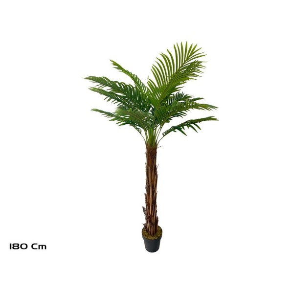 PLANTA PALMERA T/COCO X 18 - 180 CM