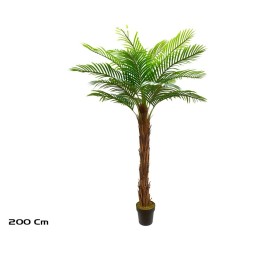 PLANTA PALMERA T/COCO X 21 - 200 CM