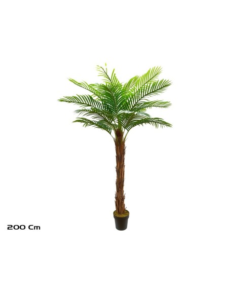 PLANTA PALMERA T/COCO X 21 - 200 CM