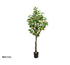 ARBOL LIMONERO X 24 - 150 CM