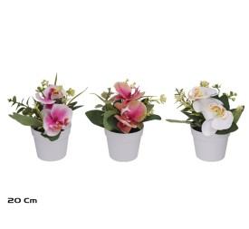 MACETA ORQUIDEAS R/T - 20 CM (S)