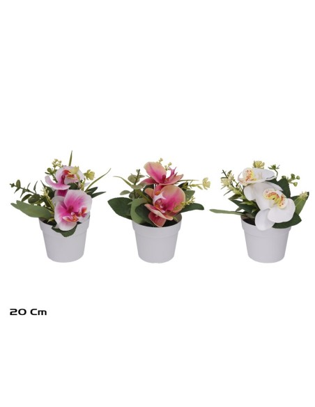 MACETA ORQUIDEAS R/T - 20 CM (S)