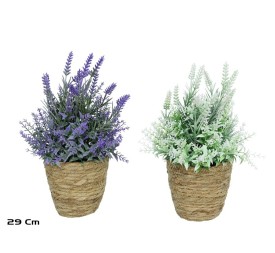 MACETA  ALGAS  LAVANDAS-29CM (S)