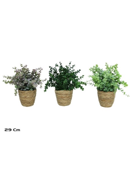 MACETA  ALGAS EUCALYPTUS MINI-29CM (S)