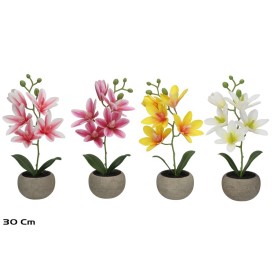 MACETA MAGNOLIA R/T X 5 - 30 CM (S)