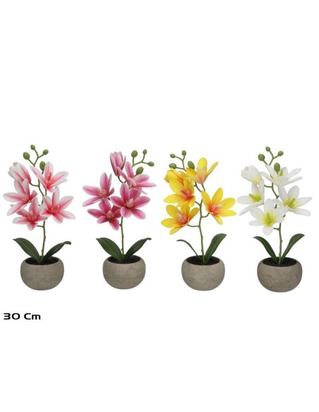 MACETA MAGNOLIA R/T X 5 - 30 CM (S)