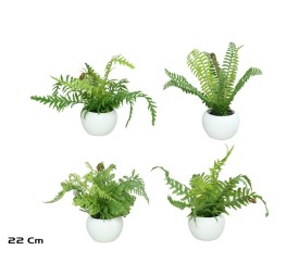 MACETA HELECHOS X 9 LVS - 22 CM (S)