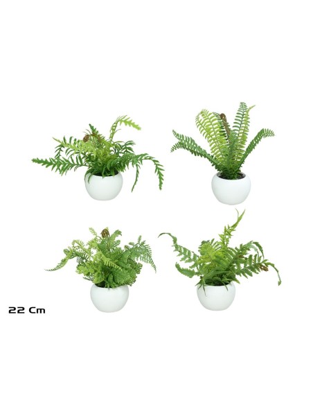 MACETA HELECHOS X 9 LVS - 22 CM (S)