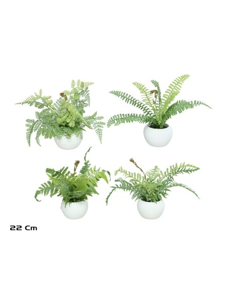 MACETA HELECHOS FLOC X 9 LVS - 22 CM (S)