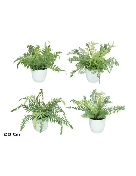 MACETA HELECHOS  FLOC X 15 LVS-28 CM (S)