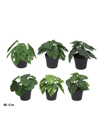 MACETA HOJAS X 9 - 16 CM (S)