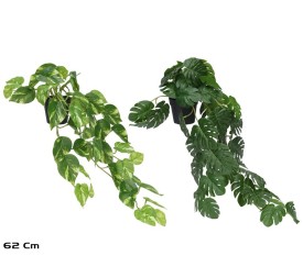 MACETA MONSTERA - POTUS X 51 - 62 CM (S)