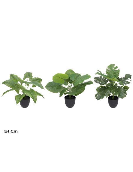 MACETA PLANTA  X 12 - 51 CM MOD A (S)