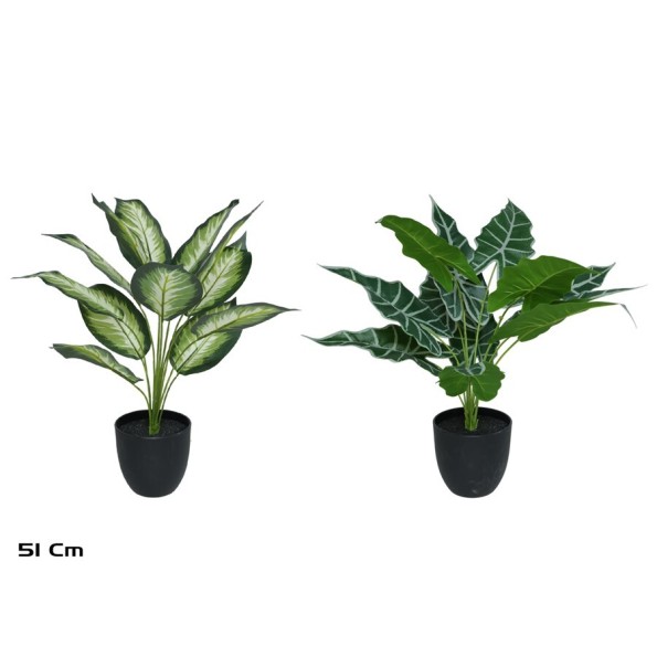 MACETA PLANTA  X 12 - 51 CM MOD B (S)