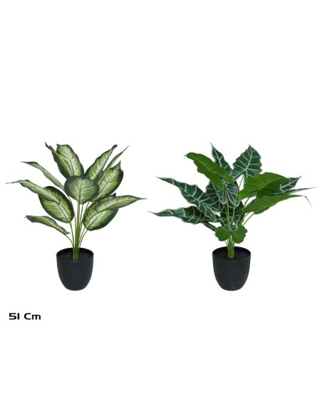 MACETA PLANTA  X 12 - 51 CM MOD B (S)