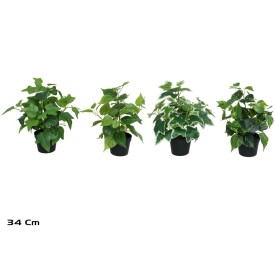 MACETA  PLANTA  X 48 - 34 CM (S)