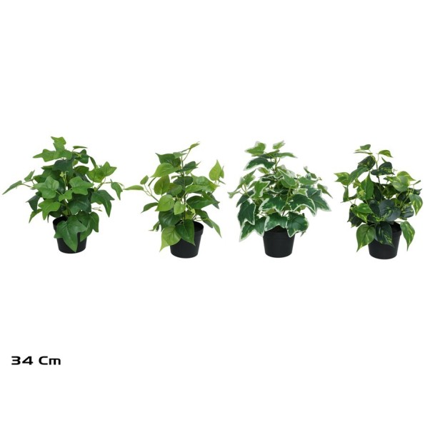 MACETA  PLANTA  X 48 - 34 CM (S)