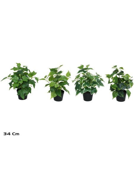 MACETA  PLANTA  X 48 - 34 CM (S)