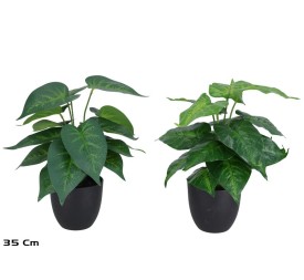 MACETA  PLANTA  X 18 - 35 CM (S)