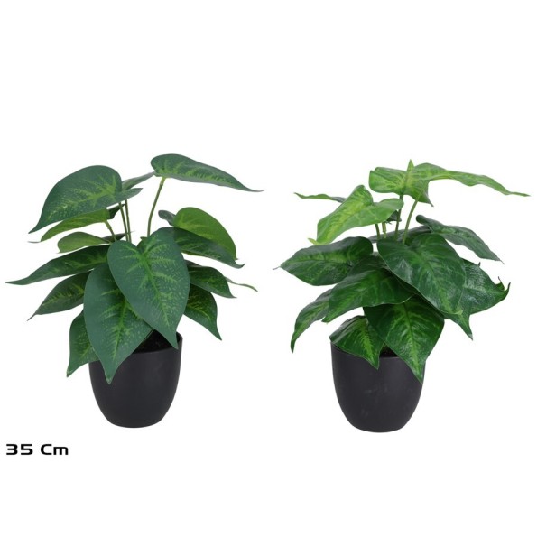 MACETA  PLANTA  X 18 - 35 CM (S)