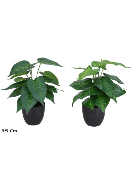 MACETA  PLANTA  X 18 - 35 CM (S)