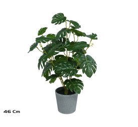 MACETA  MONSTERA X 36 - 46 CM
